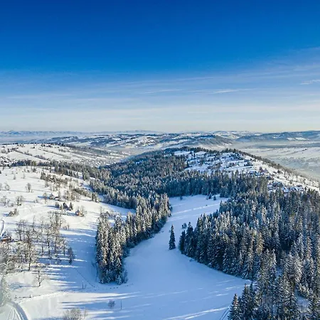 U Bobaków